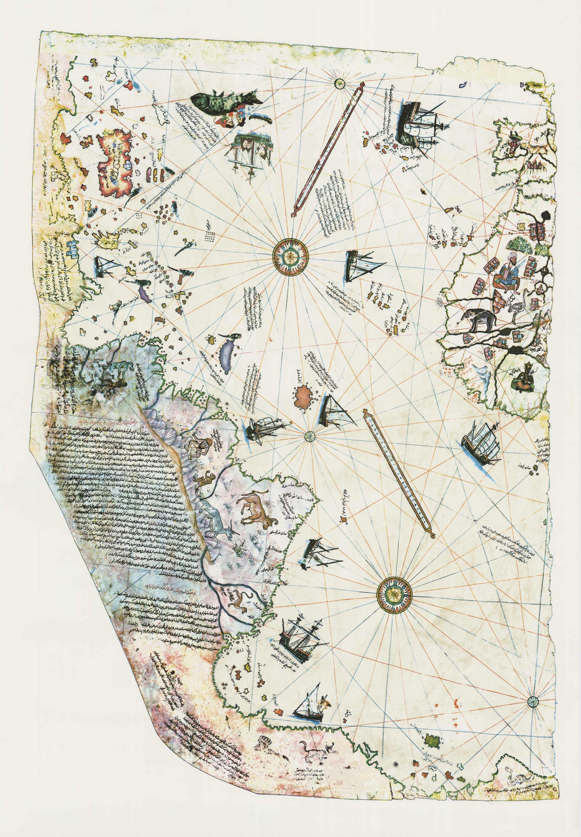 Piri Reis map of 1513