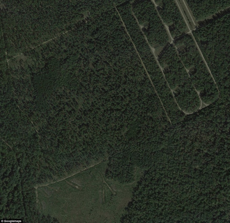 2. article-2524082-1A1B288700000578-690_964x936