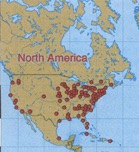 Pic 7. [Fig 5B] Fig.5B