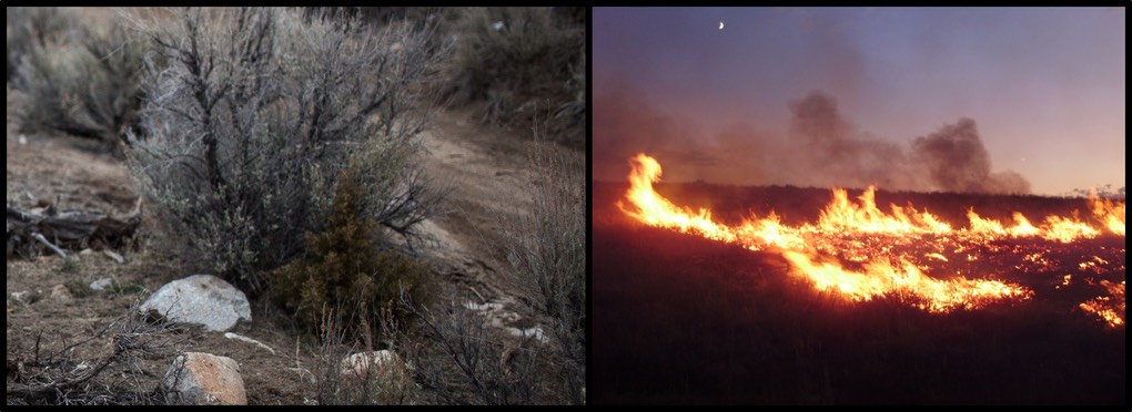 _2001 Nevada High Desert Drought, 2011-08-04_20_00_00_Susie_Fire_in_the_Adobe_Range_west_of_Elko_Nevada