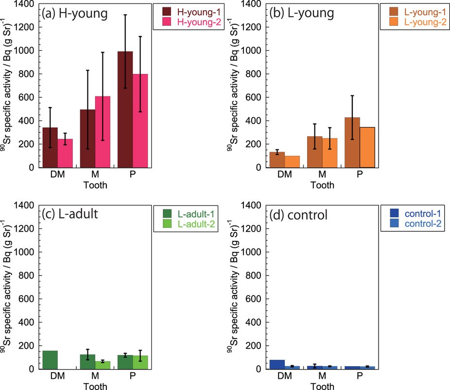 Figure 3- 90Sr specific activity in teeth, srep24077-f3