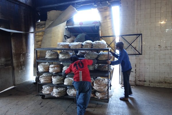 Pic 16. CWEJJJ1WIAIBAiC