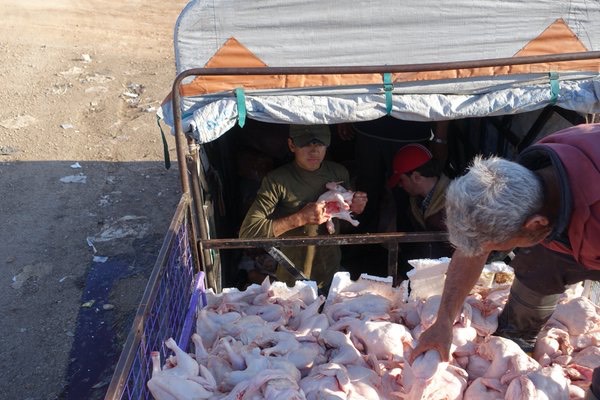 Pic 22. CWEMHx6WcAABNfL