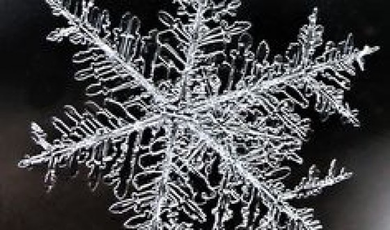 zPic 1.2. 20160109 RadSnow, Good luck on keeping your friends or kids out of the Rad Nnow. Have them check out #RadSnow and #DodgeRadsNow it might help